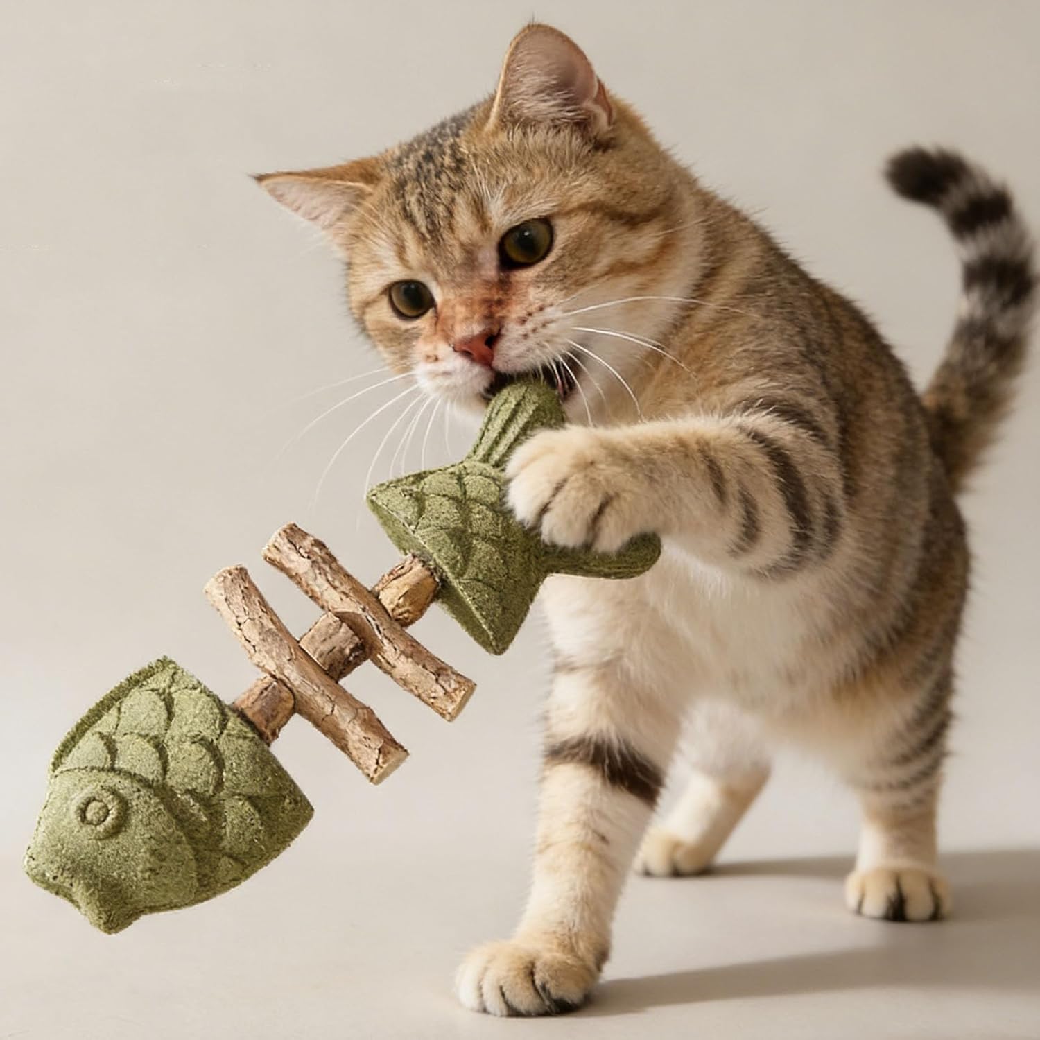 Beruhigt Katzen auf natürliche Weise und reinigt sanft die Zähne