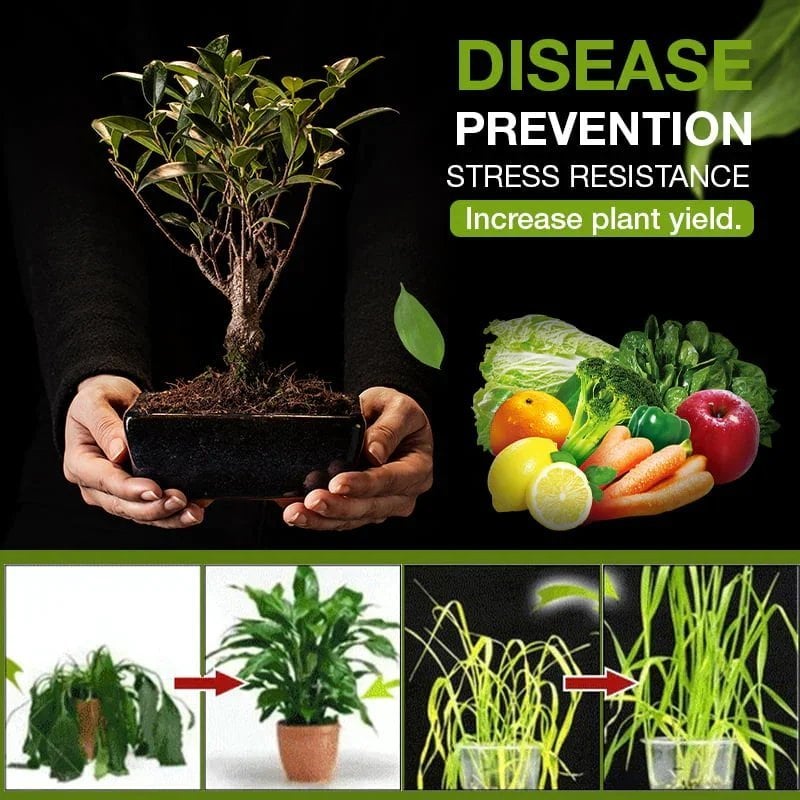 EarthGlow™ - Bodenaktivierter Gartenschatz-Verstärker