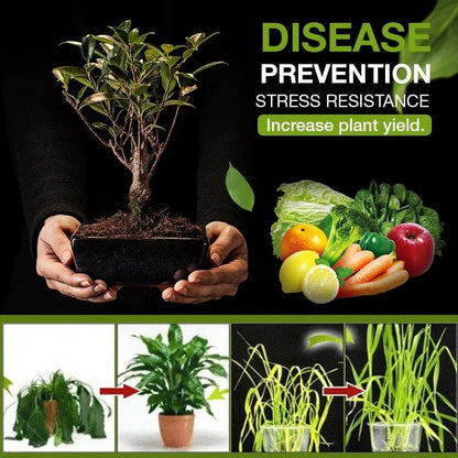 EarthGlow™ - Bodenaktivierter Gartenschatz-Verstärker