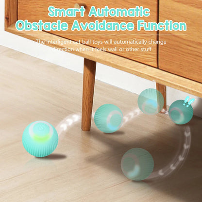 50% off | CatDance™ - Activate your cat's natural instincts! [Last day discount]