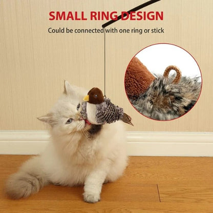 Petalk™ | Your cat will never be bored again