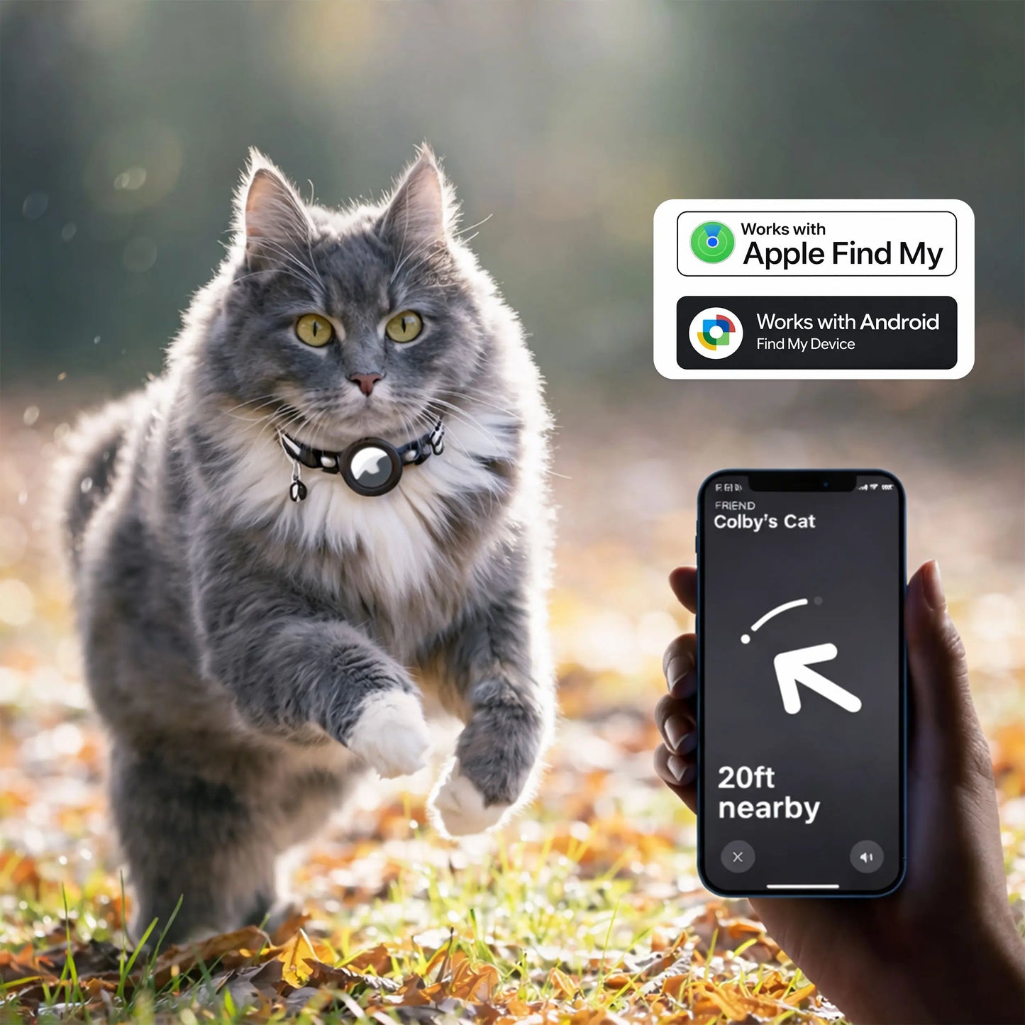 PawTrackr - Verfolgen Sie den Standort Ihrer Katze sofort, jederzeit und überall