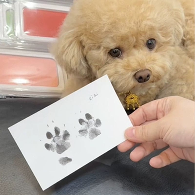 💖🐶🐱Paw print kit