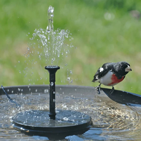 Quellivo Solarbrunnen als stimmungsvolle Dekoration im Garten