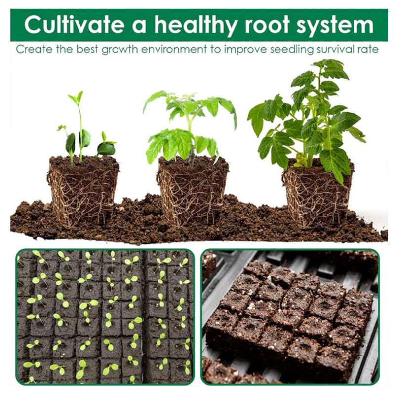 EcoGrower™ - Nachhaltiges Set für die Anzucht von Sämlingen