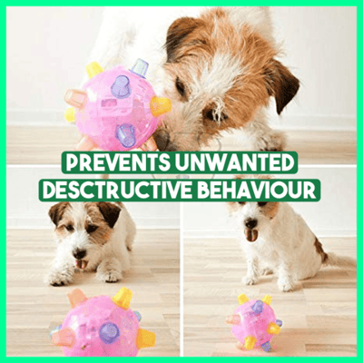 BounceBark™ – The ball that banishes boredom