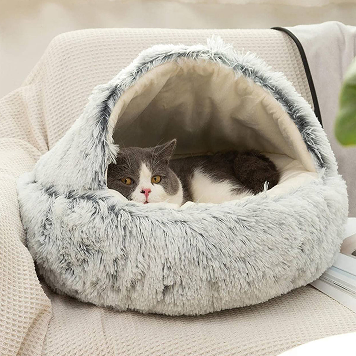 Kuscheliges Plüschbett für Hunde & Katzen