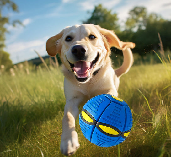 SkySpin™ | Magic Flying Saucer Ball