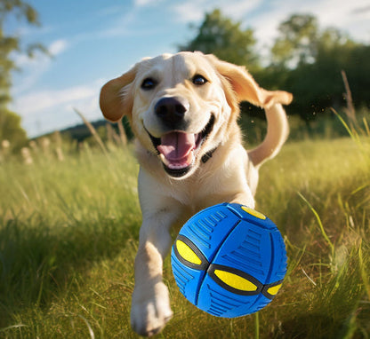 SkySpin™ | Magic Flying Saucer Ball