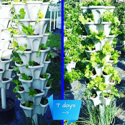 BloomTower™ | Put your green thumb to work!