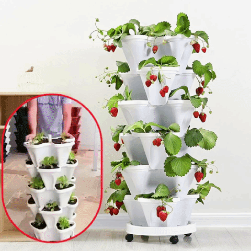BloomTower™ | Put your green thumb to work!