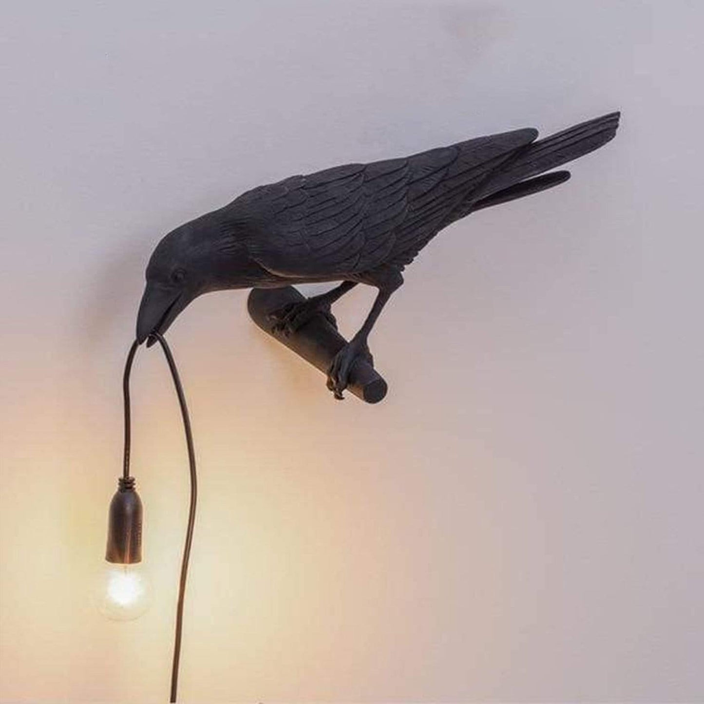 50% off | RavenAura™ - Where every light brings a touch of magic into your home