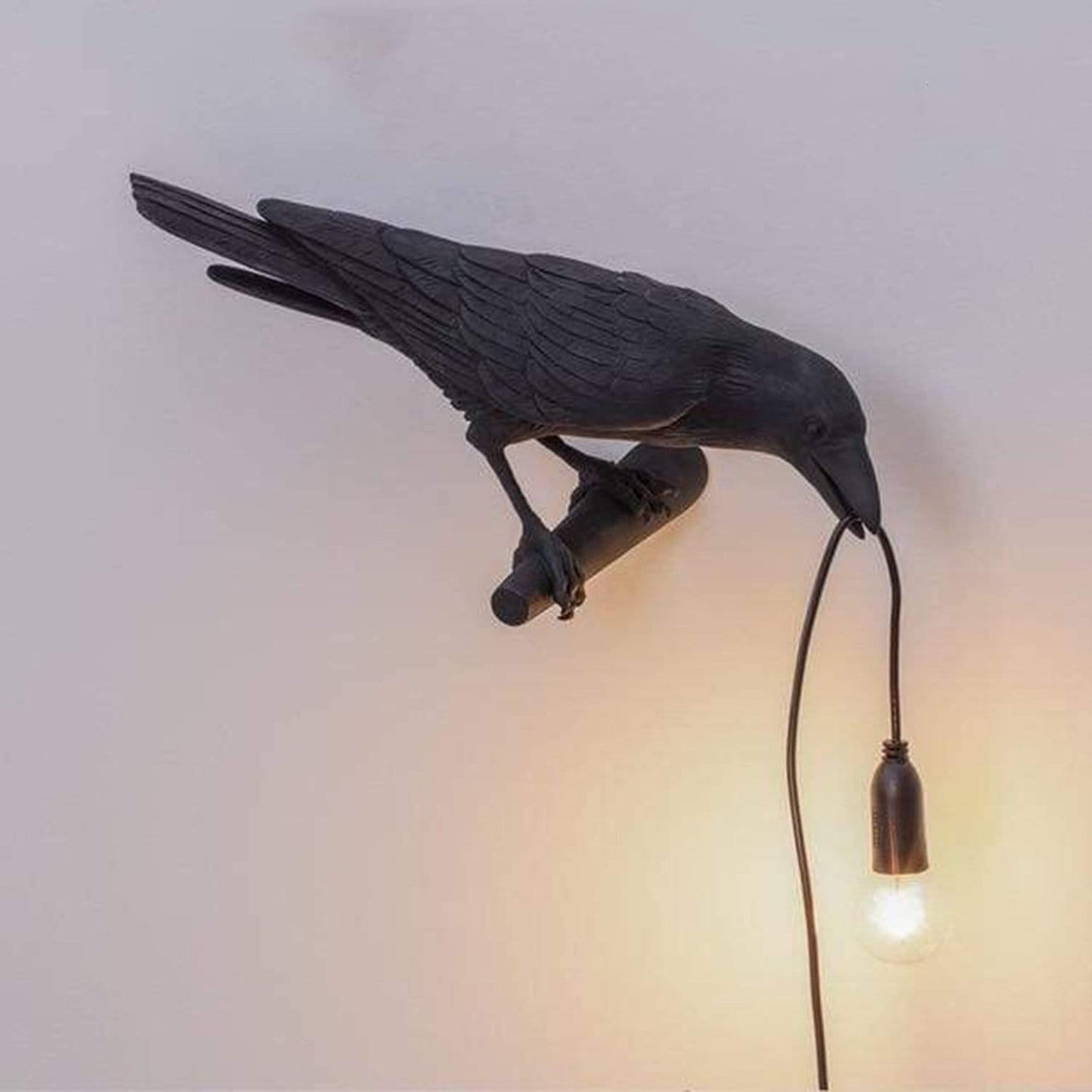 50% off | RavenAura™ - Where every light brings a touch of magic into your home
