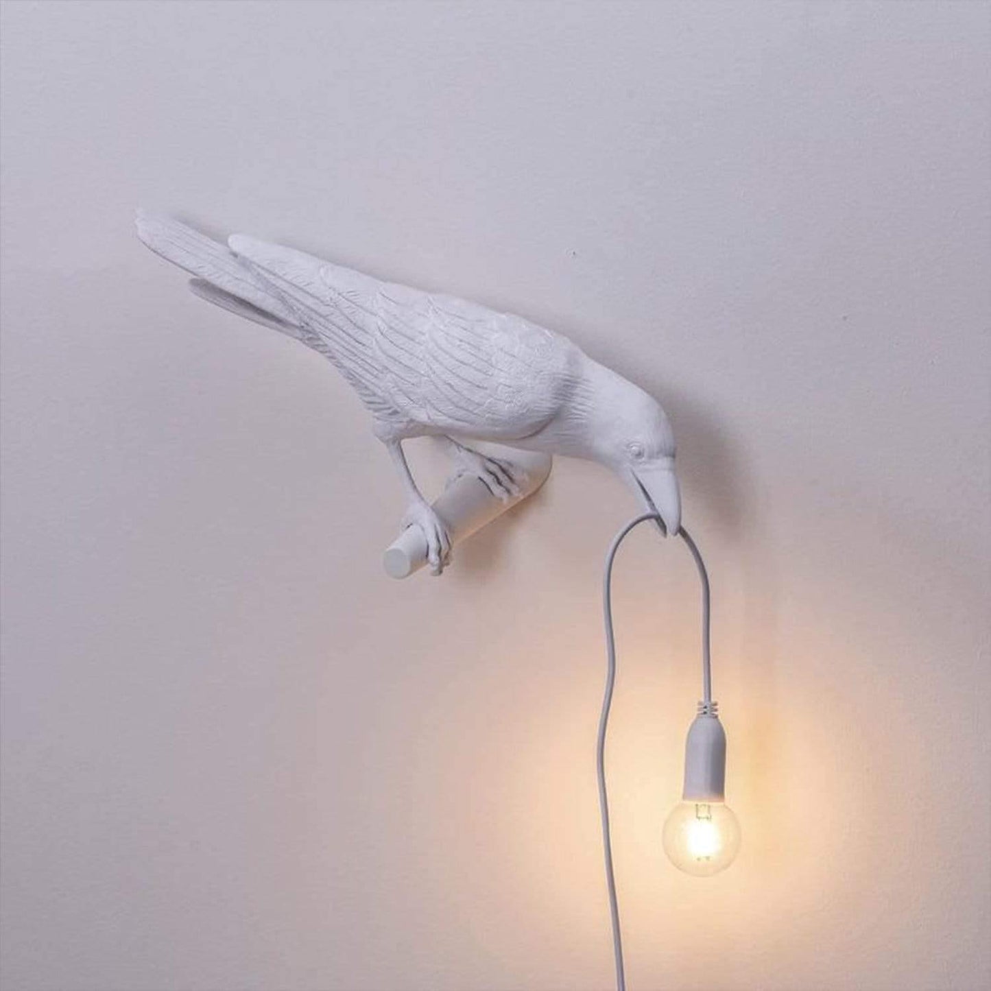 50% off | RavenAura™ - Where every light brings a touch of magic into your home